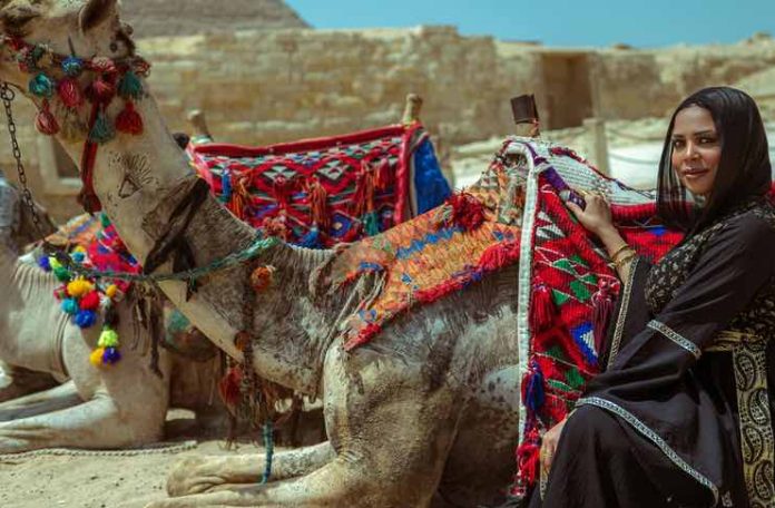 Guide to Navigating  Egypt by Train Cruise and Bus
